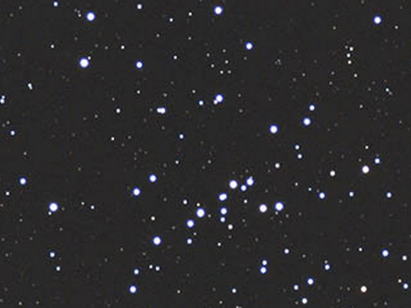 M48